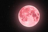 Luna Rosa 2025: Te decimos qué día de abril será este evento astronómico