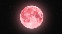 Luna Rosa 2025: Te decimos qué día de abril será este evento astronómico