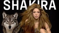 Shakira en México: Seis aportaciones culturales que no sabías de ella