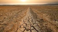 México enfrenta sequía: ¿Cuáles son los estados más afectados?