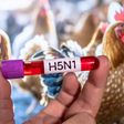 Murió niña de 3 años que se había contagiado de influenza aviar H5N1, en Torreón