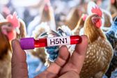 Murió niña de 3 años que se había contagiado de influenza aviar H5N1, en Torreón