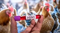 Murió niña de 3 años que se había contagiado de influenza aviar H5N1, en Torreón