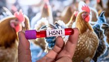 Murió niña de 3 años que se había contagiado de influenza aviar H5N1, en Torreón