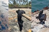 Cierran playas en Tabasco por derrame de hidrocarburo en Dos Bocas