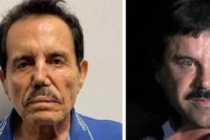 EU designa a cárteles mexicanos como grupos terroristas; incluye al Cártel de Sinaloa, CJNG y el Cártel del Golfo