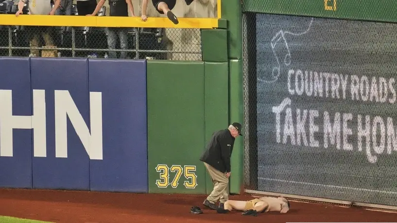 Aficionado sufre fuerte accidente tras caer 7 metros en estadio de beisbol