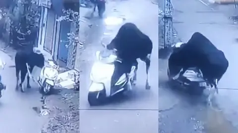 VIDEO: Toro se roba motoneta a plena luz del día