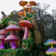 SPORA Festival del Bosque 2025: Chapultepec celebra sabiduría del reino fungi