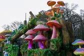 SPORA Festival del Bosque 2025: Chapultepec celebra sabiduría del reino fungi