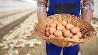 Precio del huevo podría aumentar 41% más en Estados Unidos ¿Pero por qué?