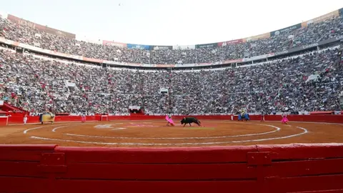 Congreso de la Ciudad de México aprueba la prohibición de las corridas de toros con violencia