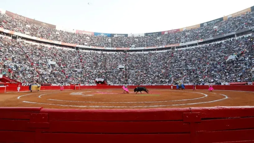 Congreso de la Ciudad de México aprueba la prohibición de las corridas de toros con violencia