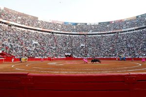 Congreso de la Ciudad de México aprueba la prohibición de las corridas de toros con violencia
