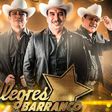 Suspenden concierto de Los Alegres del Barranco en Querétaro