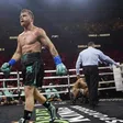 Canelo le desea buena suerte a Jake Paul en su matrimonio