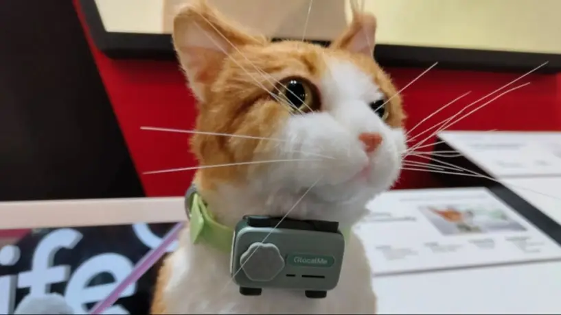 Así es PetPhone, primer celular diseñado para tus mascotas