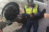 VIDEO: Policías de CDMX rescatan a gato atrapado en carrocería de auto