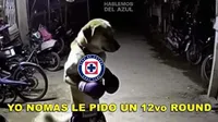 ¿Otra vez tú? Los mejores memes de la nueva serie entre Cruz Azul y América