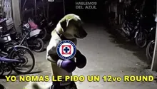 ¿Otra vez tú? Los mejores memes de la nueva serie entre Cruz Azul y América