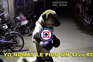 ¿Otra vez tú? Los mejores memes de la nueva serie entre Cruz Azul y América