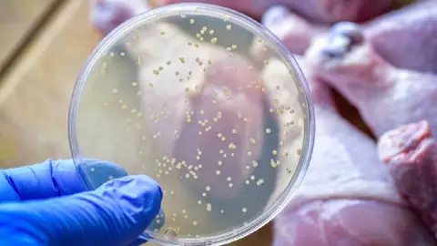 ¡Atención! Reportan en México más de 4 mil casos de salmonelosis y tifoidea