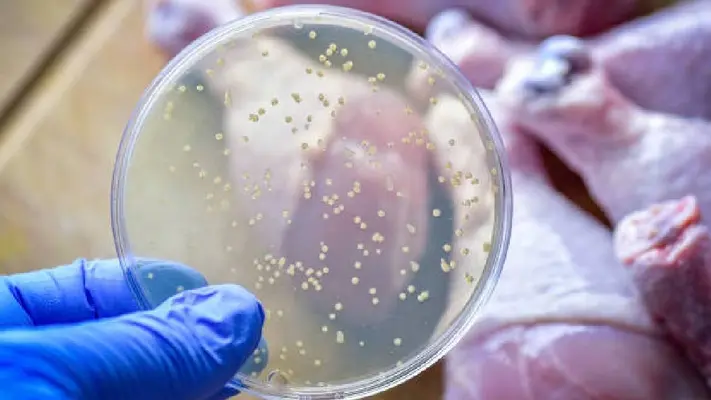 ¡Atención! Reportan en México más de 4 mil casos de salmonelosis y tifoidea