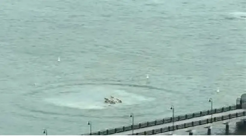 Se estrella helicóptero en el río Hudson de Nueva York; al menos 4 fallecidos
