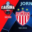 Necaxa vs Pachuca EN VIVO Liga MX Jornada 15 Clausura 2025