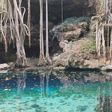 Encuentran restos de animales que existieron hace siete mil años en cenote de Yucatán