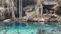 Encuentran restos de animales que existieron hace siete mil años en cenote de Yucatán