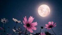 Luna de Flores 2025: ¿Qué es, cuándo y cómo se puede ver?