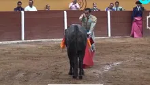 Emilio Macías, torero mexicano, sufre cornada y pasa 9 horas en quirófano