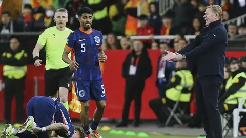 Koeman tras eliminación de Países Bajos: “Somos los que más han apretado a España”