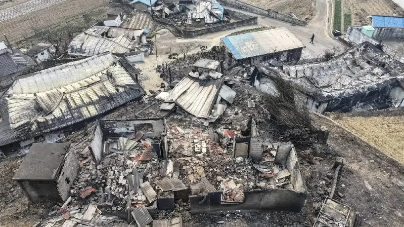 Incendios forestales en Corea del Sur dejan 24 muertos y obligan a evacuar a 27.000 personas
