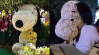 VIDEO: Secuestran a Snoopy en el Festival de la Flores