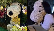 VIDEO: Secuestran a Snoopy en el Festival de la Flores