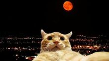 Eclipse lunar 2025: Y los memes no pudieron faltar