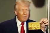 Visa Dorada para migrantes millonarios tiene el rostro de Donald Trump