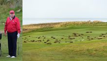 ¡Otra vez! Vandalizan otro campo de golf de Donald Trump