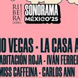 Festival Sonorama 2025 anuncia nueva sede tras tragedia en Parque Bicentenario ¡Te decimos dónde será!