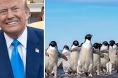 Trump impone aranceles a islas habitadas solo por pingüinos y focas