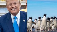 Trump impone aranceles a islas habitadas solo por pingüinos y focas
