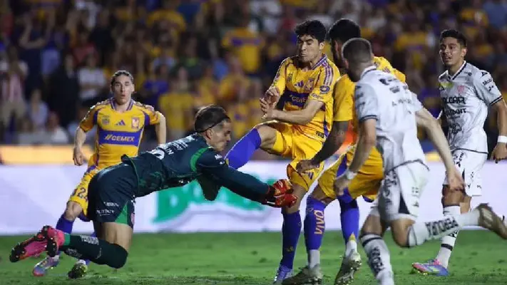 La polémica decisión del ‘Gato’ Ortiz que le dio la clasificación a Tigres sobre Necaxa