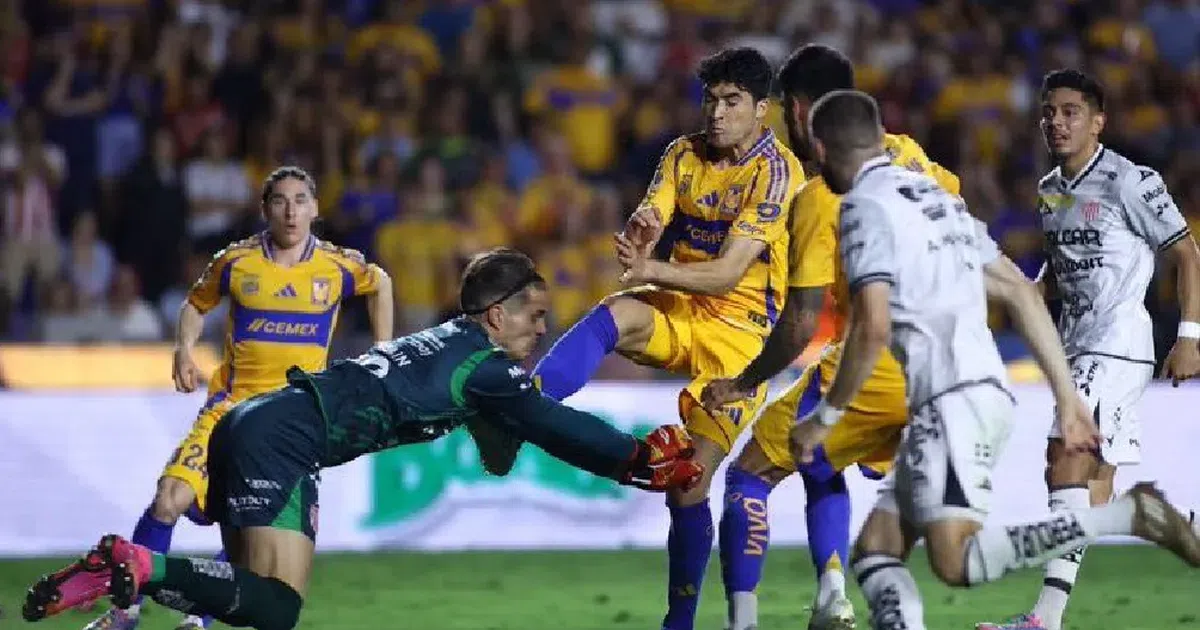 La polémica decisión del ‘Gato’ Ortiz que le dio la clasificación a ...