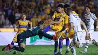 La polémica decisión del ‘Gato’ Ortiz que le dio la clasificación a Tigres sobre Necaxa