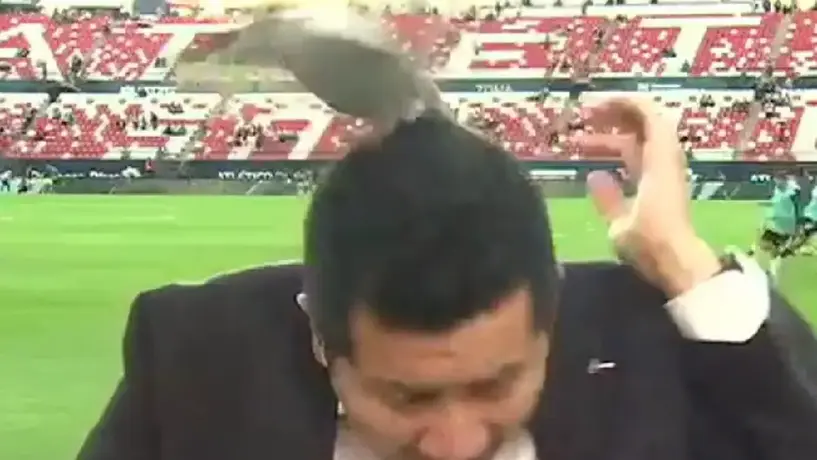 Reportero de ESPN sufre susto con una paloma en el Atlético de San Luis vs Juárez