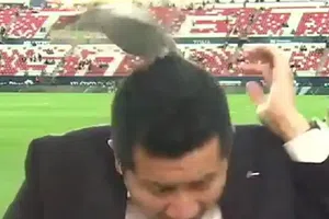 Reportero de ESPN sufre susto con una paloma en el Atlético de San Luis vs Juárez