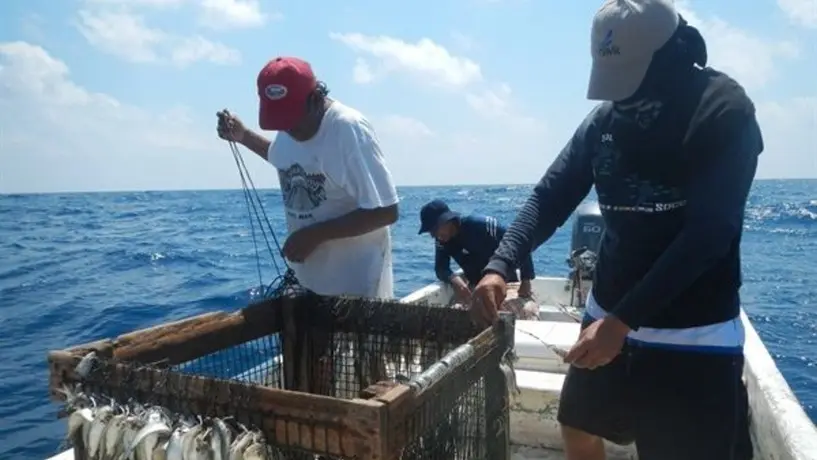 Pesca artesanal y ecoturismo, fortalecen comunidades en Baja California: Daniel Madariaga Barrilado
