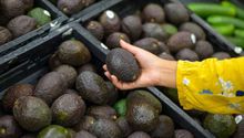 Lista de productos mexicanos que quedaron exentos de pagar aranceles por el T-MEC